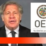Almagro – Elecciones