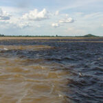 Foto2OrinocoyCaroní