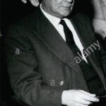 Puente paguita – Morandi