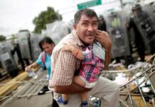 Los perros ladran, la caravana pasa