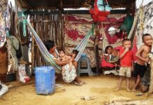 Los wayuu del Zulia se mudan a Maicao